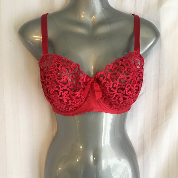 Victoria's Secret 34DD Unlined 1/2 Padding Push Up Cherry Red Lace Underwire Bra - Picture 2 of 16